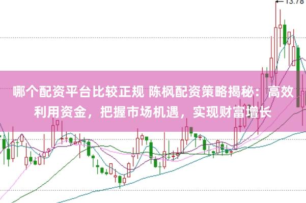 哪个配资平台比较正规 陈枫配资策略揭秘：高效利用资金，把握市场机遇，实现财富增长