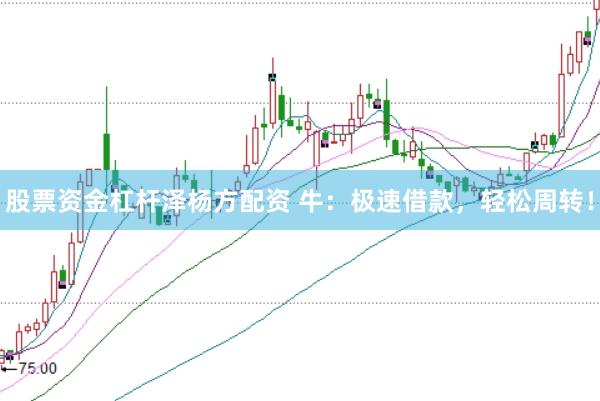 股票资金杠杆泽杨方配资 牛：极速借款，轻松周转！
