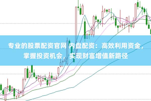 专业的股票配资官网 内盘配资：高效利用资金，掌握投资机会，实现财富增值新路径