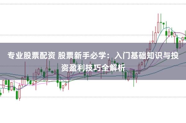 专业股票配资 股票新手必学：入门基础知识与投资盈利技巧全解析