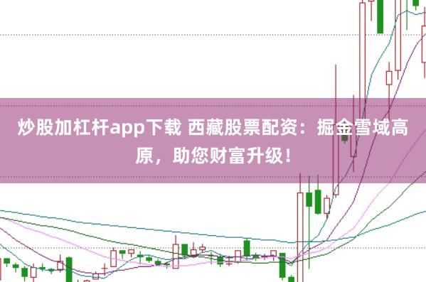 炒股加杠杆app下载 西藏股票配资：掘金雪域高原，助您财富升级！