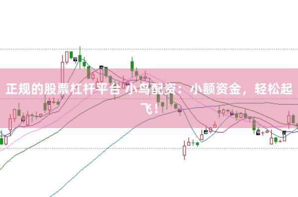 正规的股票杠杆平台 小鸟配资：小额资金，轻松起飞！