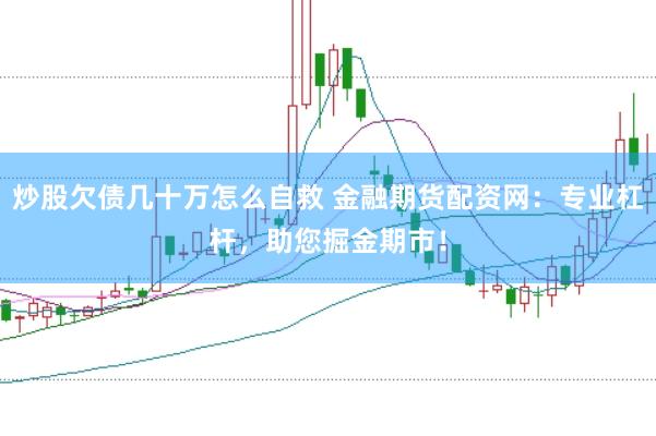 炒股欠债几十万怎么自救 金融期货配资网：专业杠杆，助您掘金期市！