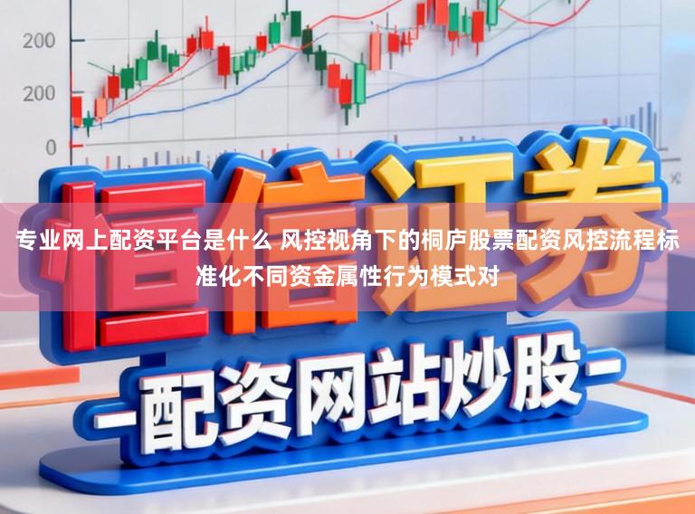 专业网上配资平台是什么 风控视角下的桐庐股票配资风控流程标准化不同资金属性行为模式对